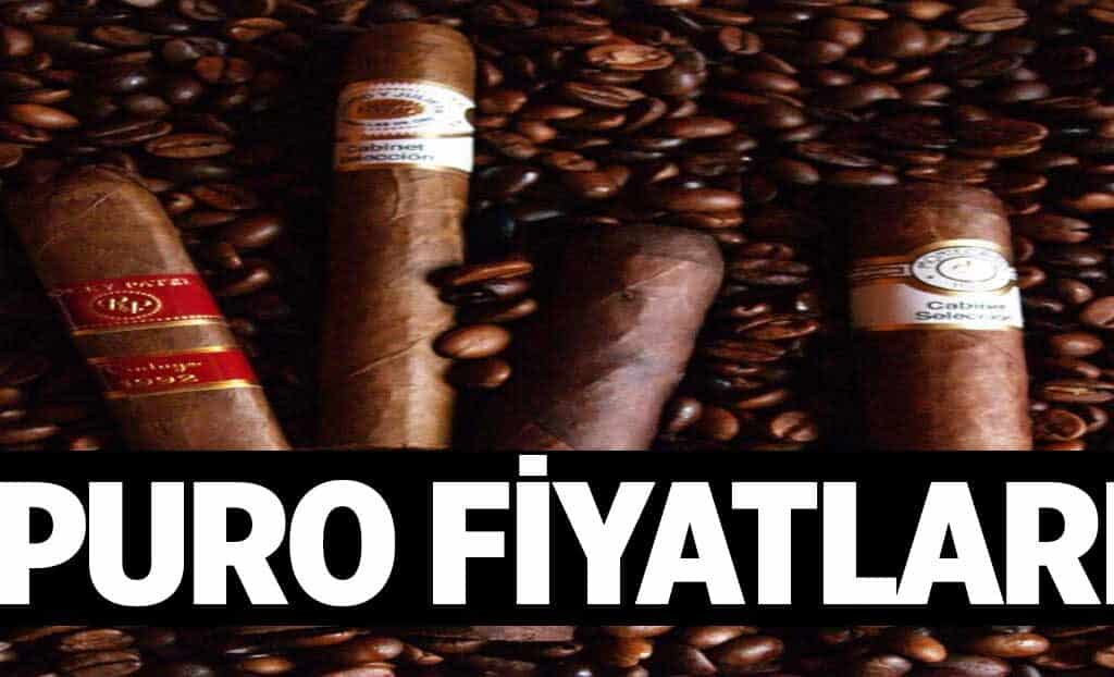Puro Fiyatlari 1024x622eDj.jpg