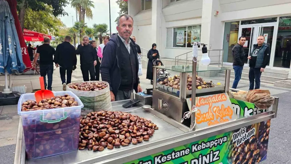 bandirmada kestane sezonu basladi Z25WEzNz.jpg