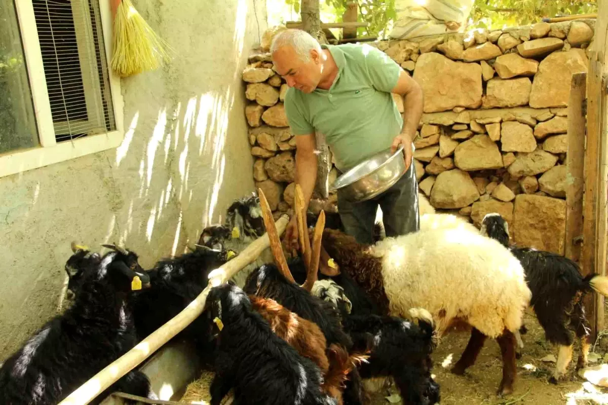 eski hukumlu tahir keskin is kur destegiyle 200 keci surusune ulasti tgXDR5pe.jpg