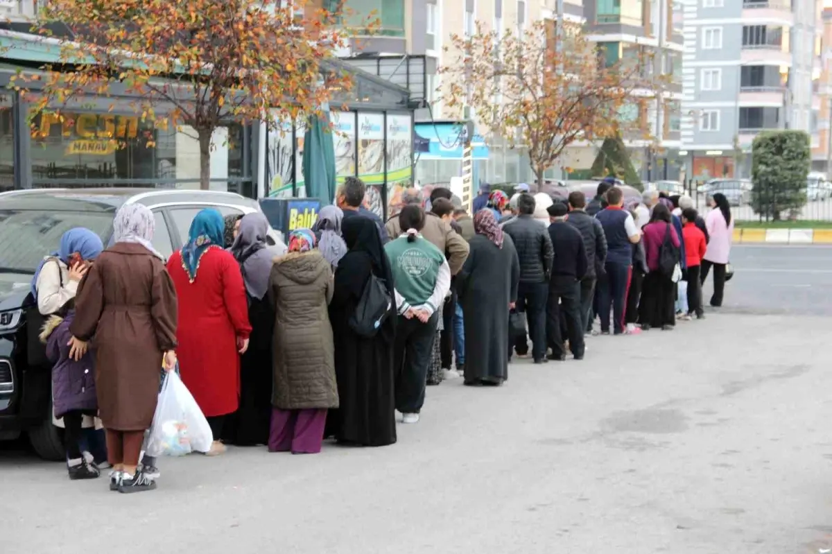 corumda hamsi kuyrugu Ml3SwUnJ.jpg