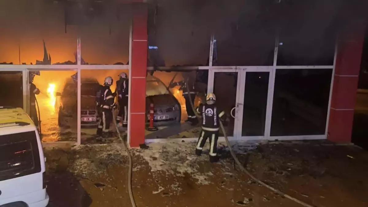 pamukkalede kundaklama 5 arac hasar gordu vjm47T5L.jpg