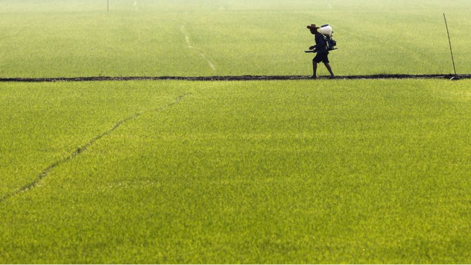 Dünya Bankası’ndan Emtia Fiyatlarına İlişkin Endişe Verici Tahminler