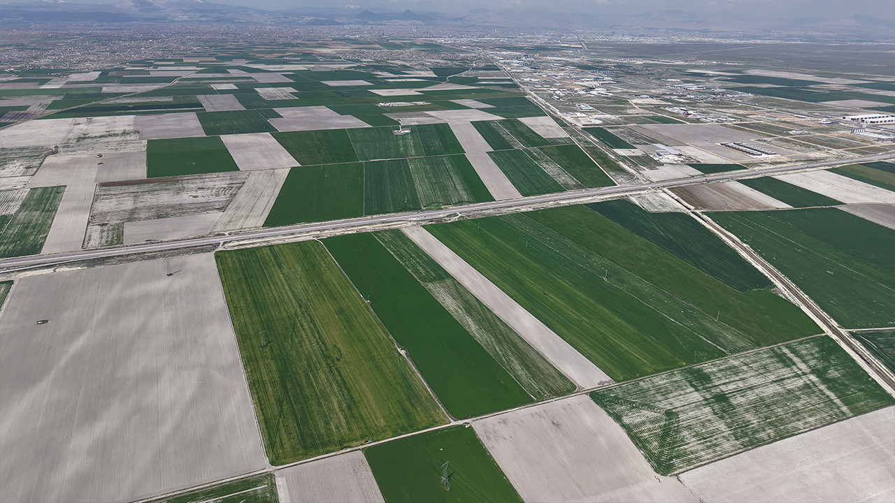 Konya Ovası’nda Umut Veren Yağışlar: Hububat Rekoltesinde 500 Bin Ton Artış Bekleniyor
