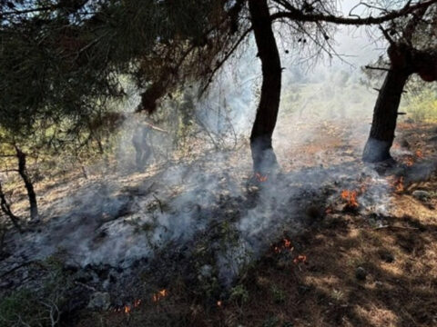 Jandarmanın Zamanında Müdahalesi Yangını Kontrol Altına Aldı